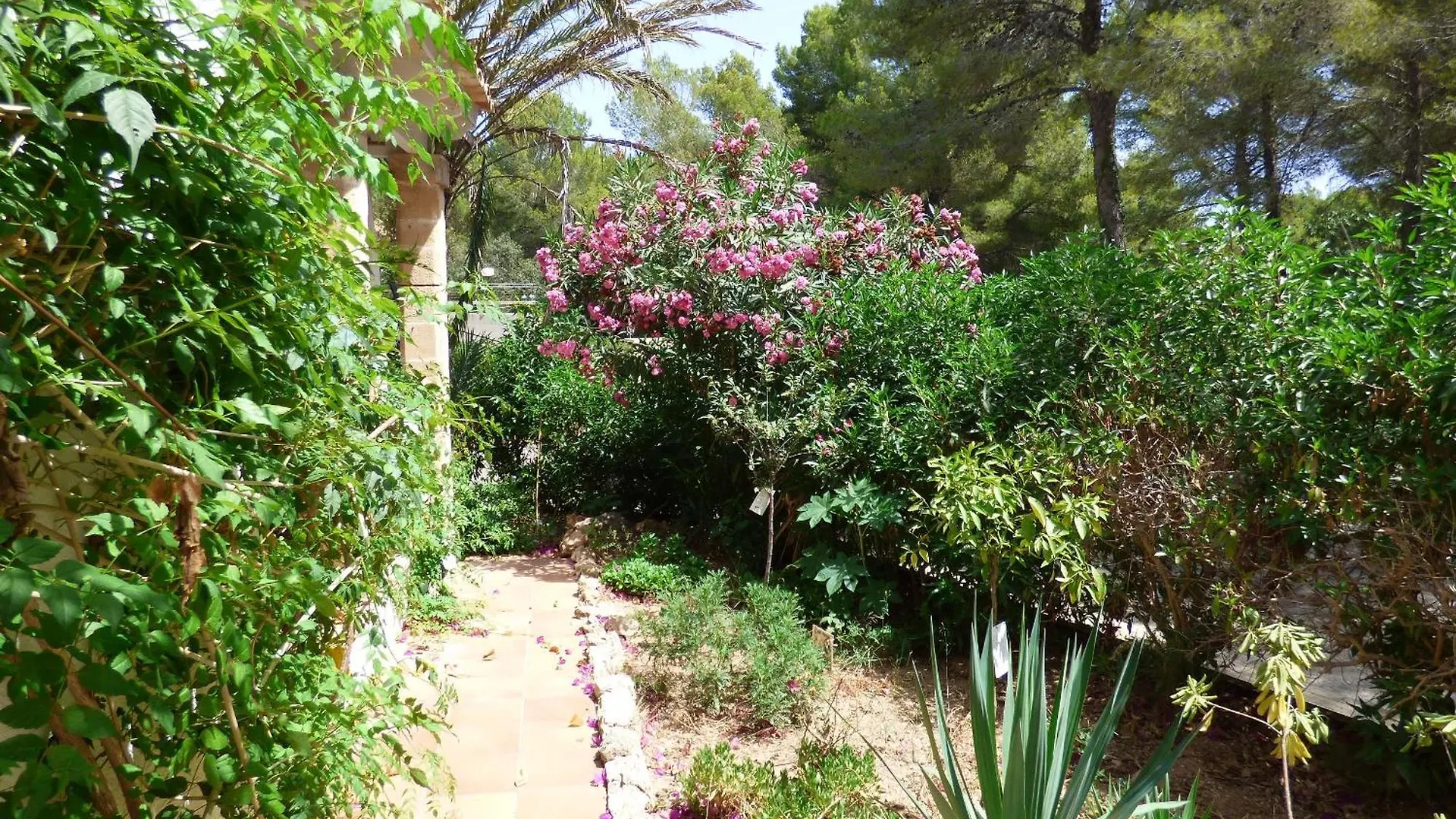 Villa Herdain Cielo de Bonaire スペイン